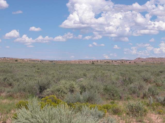 1.1 Acre Arizona Parcel on the Colorado Plateau