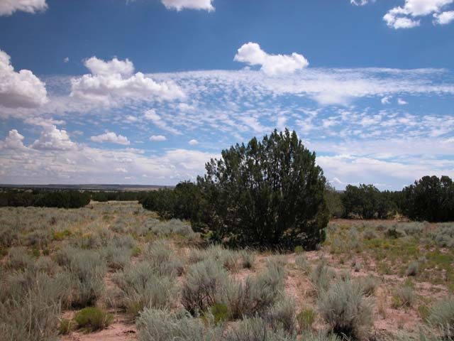 40 Acre Arizona Ranch on the Colorado Plateau