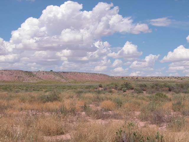 36 Acre Arizona Ranch on the Colorado Plateau