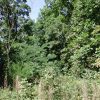 1/4 +/- Acre Golf Course in Cherokee Village AR