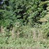 1/4 +/- Acre Near Lake Chanute in Cherokee Village AR