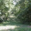 .25 Acre in Beautiful Ozark Acres Arkansas.