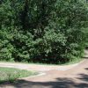 1/4 +/- Acre in Beautiful Cherokee Village Arkansas.