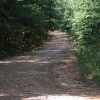 Adjacent lot 2 of 2 Near Lake in Cherokee Village AR