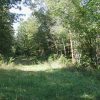 .25 Acre in Beautiful Ozark Acres Arkansas.