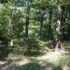 .15 Acre in Beautiful Ozark Acres Arkansas.