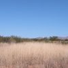 Great Southen Arizona Land Investment Cash Sale No Snow