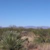 Great Southen Arizona Land Investment Cash Sale No Snow
