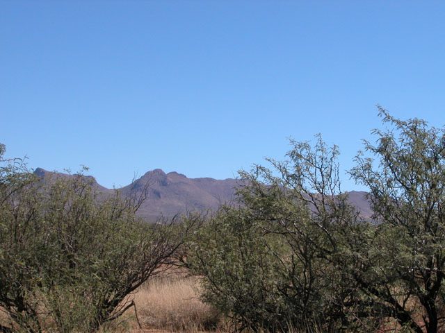 .42 Acre Arizona Parcel near the Mule Mountains