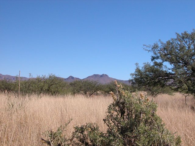 .6 Arizona Parcel near the Mule Mountains