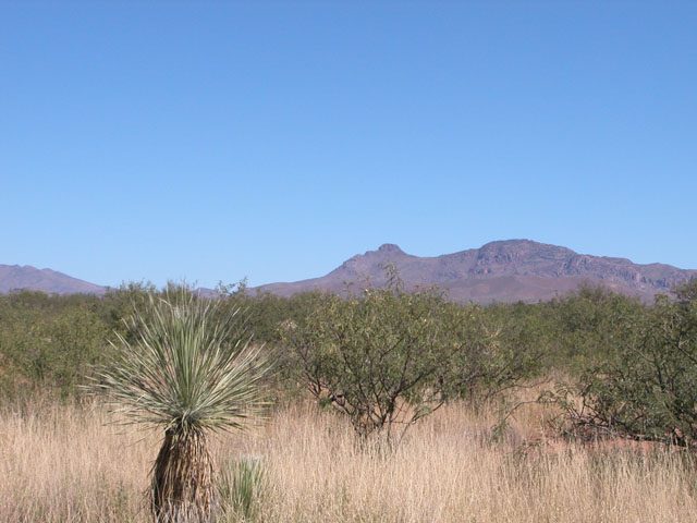 .2 Acre Arizona Parcel near Sonora Mexico