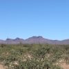 Great Southen Arizona Land Investment Cash Sale No Snow