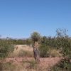 Great Southen Arizona Land Investment Cash Sale No Snow