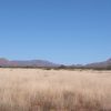 Great Southen Arizona Land Investment Cash Sale No Snow