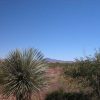 Great Southen Arizona Land Investment Cash Sale No Snow