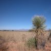 Great Southen Arizona Land Investment Cash Sale No Snow