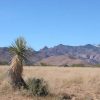 Great Southen Arizona Land Investment Cash Sale No Snow