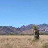 Great Southen Arizona Land Investment Cash Sale No Snow