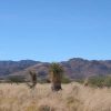 Great Southen Arizona Land Investment Cash Sale No Snow