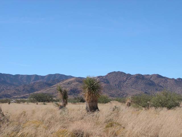 .51 Acre Arizona Parcel near Shadow Mt. County Club