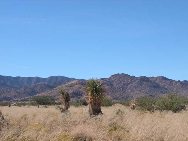 1 Acre Arizona Parcel near the Dragoon Mountains