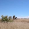 .52 Acre Arizona Parcel near Shadow Mt. Country Club