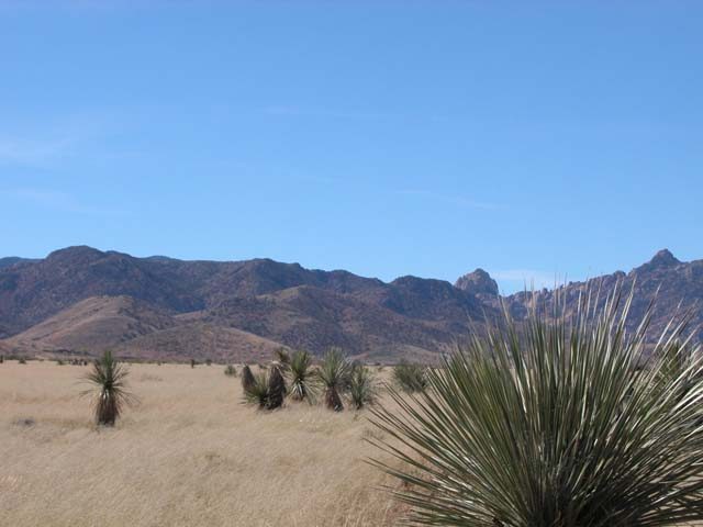 0.48 Ac in Southern AZ. Only 60 Miles from Tombstone!