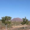 Great Southen Arizona Land Investment Cash Sale No Snow