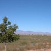 Great Southen Arizona Land Investment Cash Sale No Snow