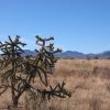 .88 Acre Arizona Parcel near the Coronado Nat. Forest