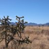 Great Southen Arizona Land Investment Cash Sale No Snow