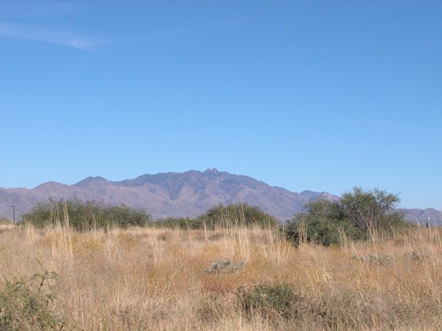 .25 Acre Arizona Parcel near the Cabezas Mountains