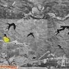 Arkansas Rural land for sale
