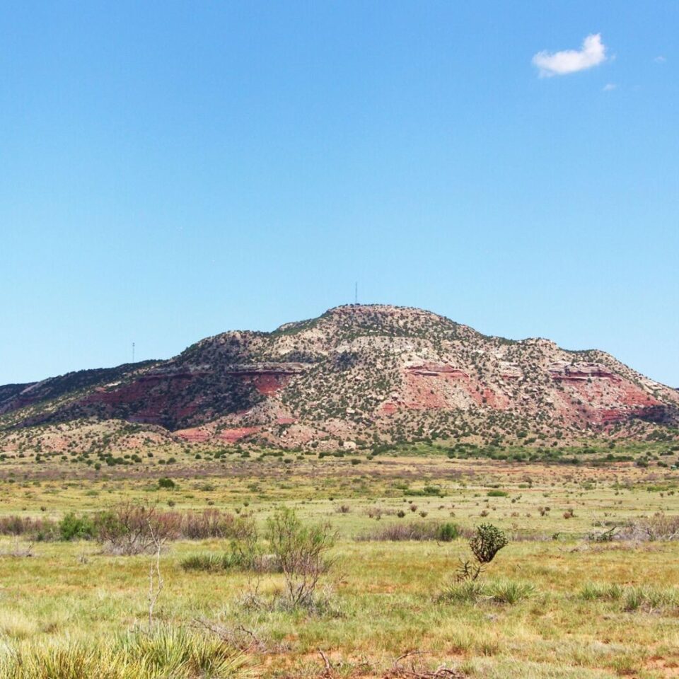 Land for Sale Rock Bottom Priced Wholesale Land